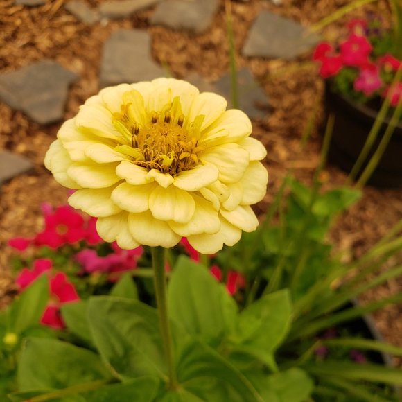 Meet your Posher, Kelly - Picture 1 of 1